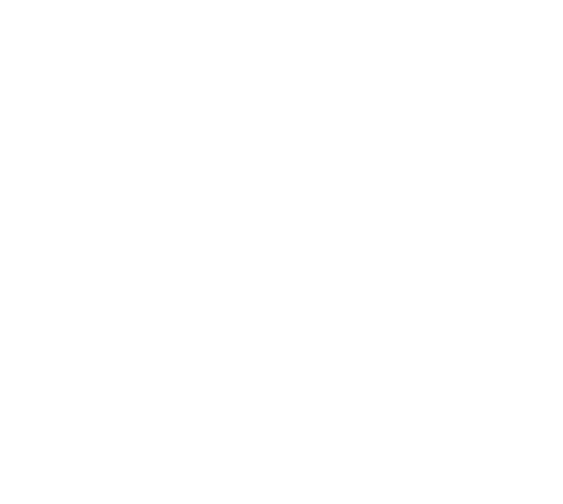 store_869687
